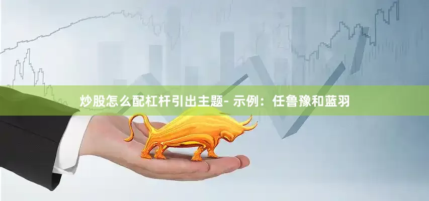 炒股怎么配杠杆引出主题- 示例：任鲁豫和蓝羽