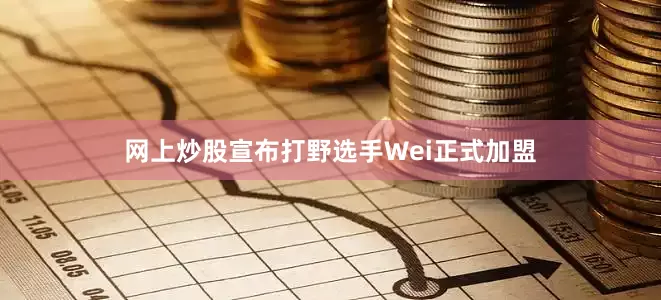 网上炒股宣布打野选手Wei正式加盟