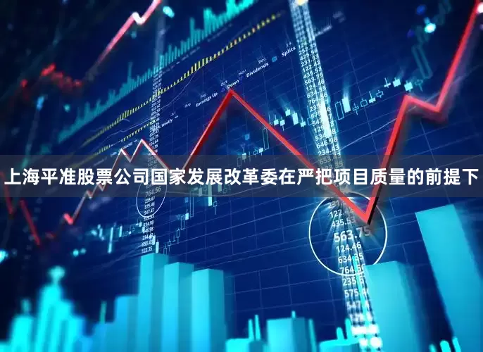 上海平准股票公司国家发展改革委在严把项目质量的前提下